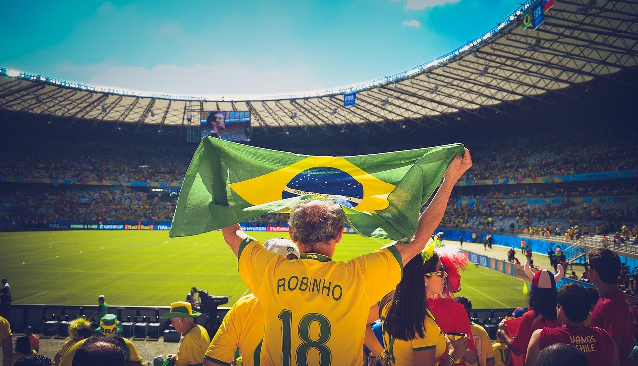 people, soccer, stadium, crowd, brazil flag, audience, sports, flag, game, match, football, cheering, brazil, brazilian, championship, soccer field, world cup, robinho